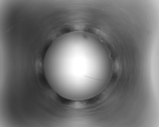 X0000088830522200706211817