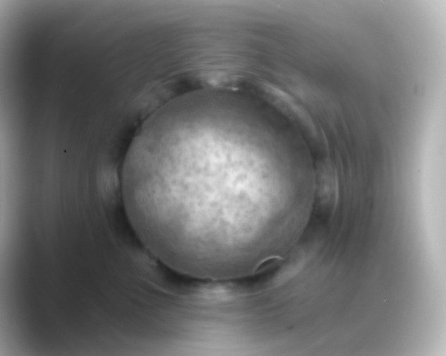 X0000088830523200706211817