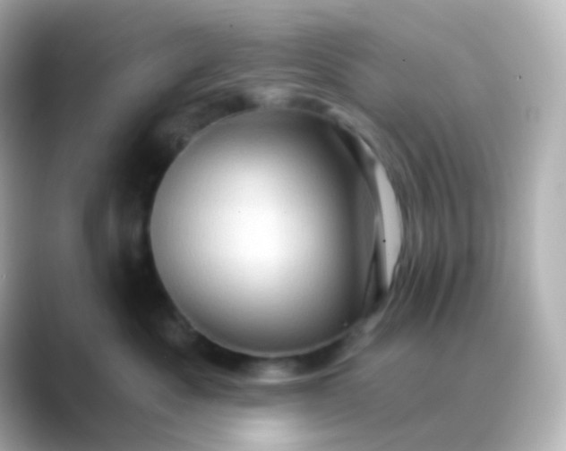 X0000088830525200706211817