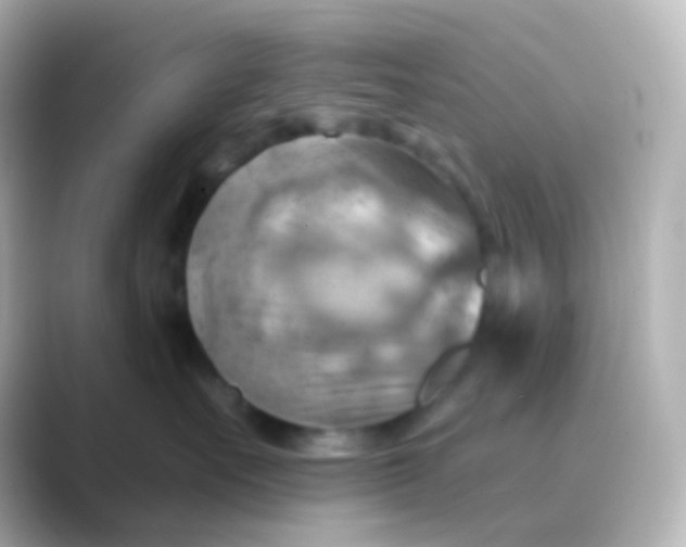 X0000088830527200706211817