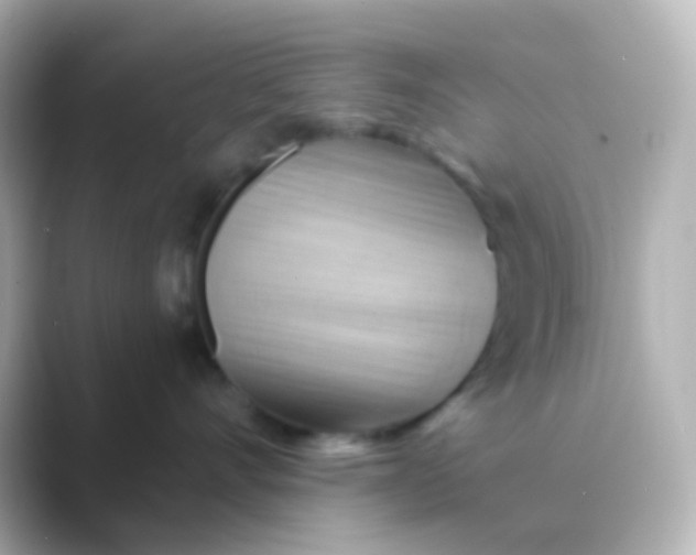 X0000088830528200706211817