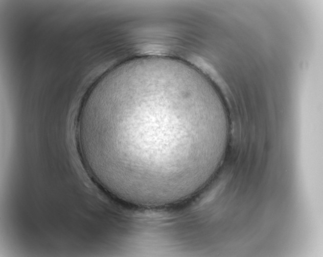 X0000088830529200706211816