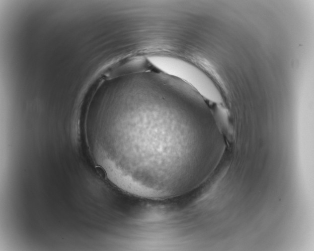 X0000088830531200706211816