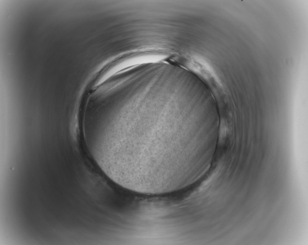 X0000088830532200706211816