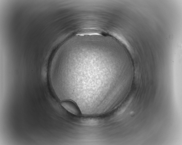 X0000088830533200706211816