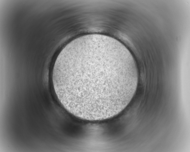 X0000088830534200706211816