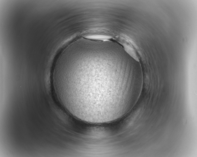 X0000088830535200706211816