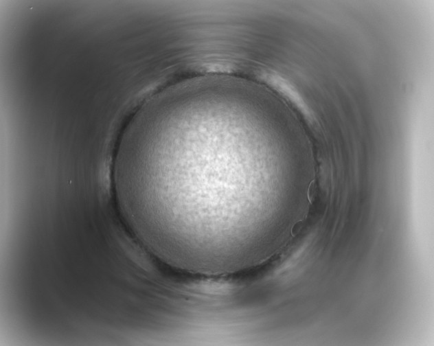 X0000088830537200706211816