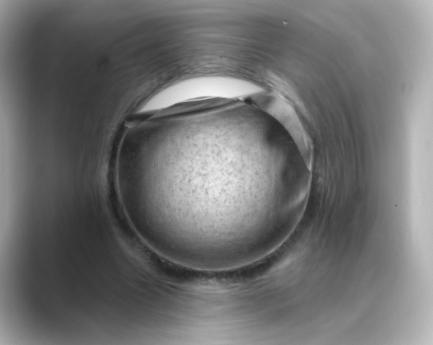 X0000088830538200706211816