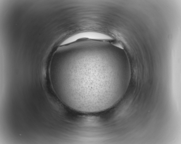 X0000088830539200706211816