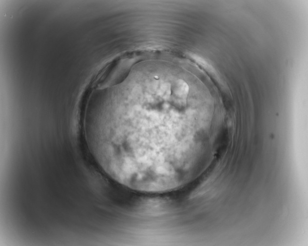 X0000088830540200706211816