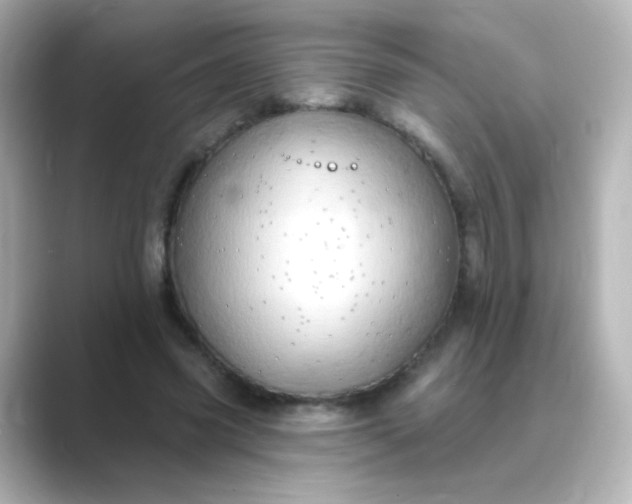 X0000088830541200706211816