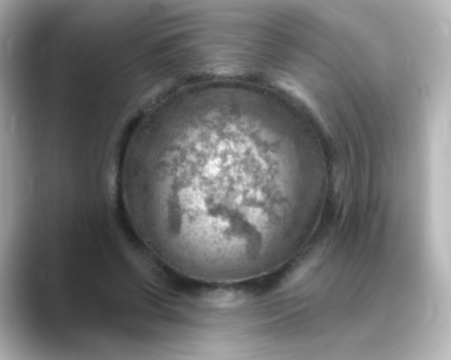 X0000088830542200706211816