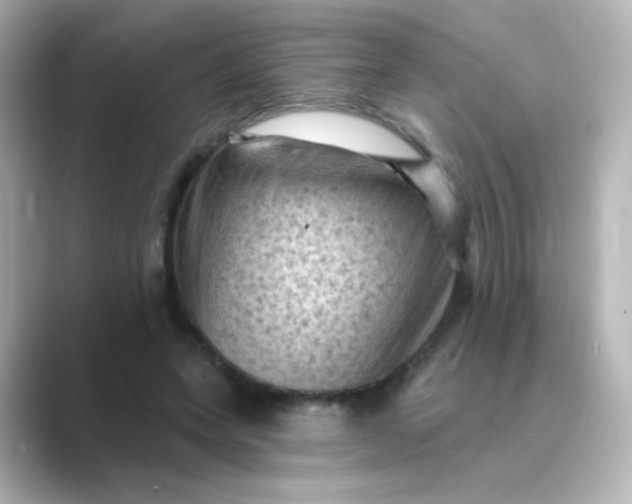 X0000088830543200706211816