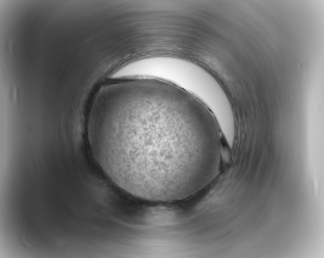 X0000088830544200706211816