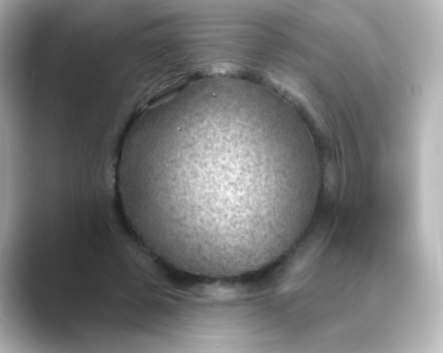 X0000088830545200706211816