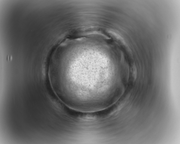 X0000088830546200706211816