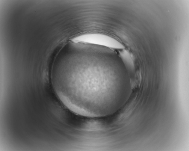 X0000088830547200706211816