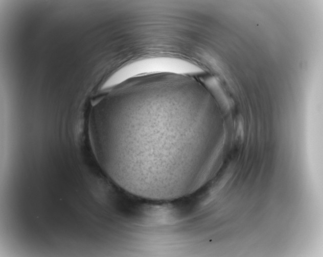 X0000088830548200706211816