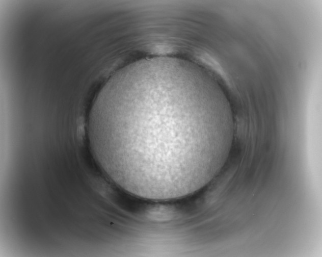 X0000088830549200706211816