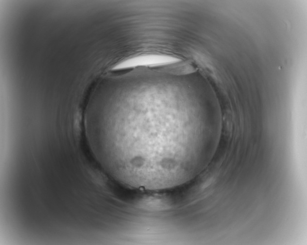 X0000088830550200706211816