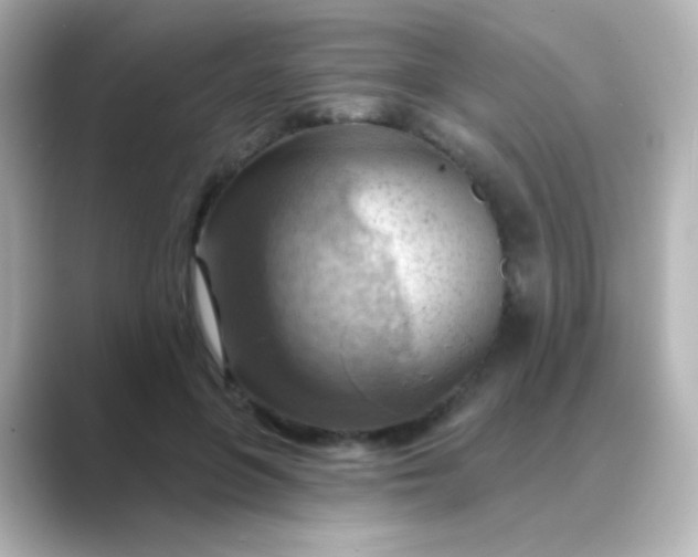 X0000088830551200706211816