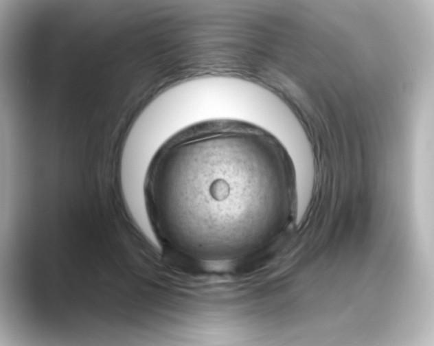 X0000088830552200706211817