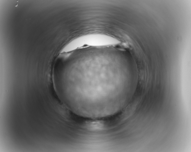 X0000088830553200706211817