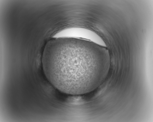 X0000088830554200706211817