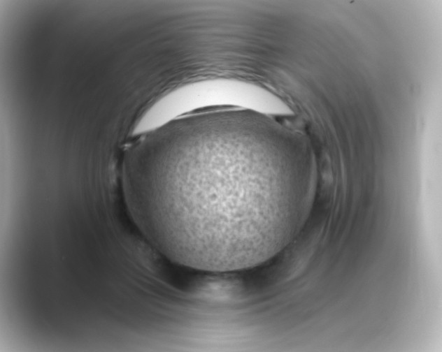 X0000088830555200706211817