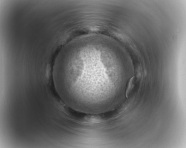 X0000088830559200706211817