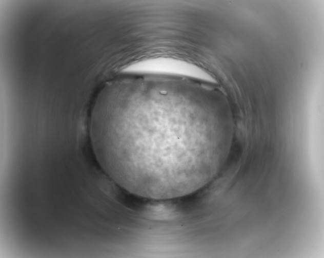 X0000088830561200706211817