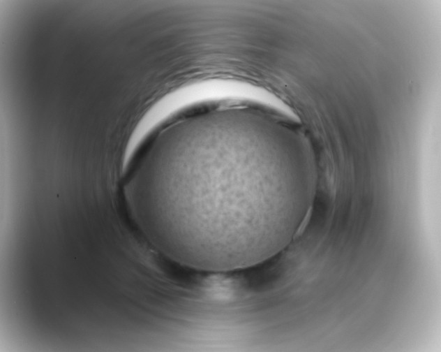 X0000088830562200706211817