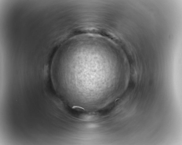 X0000088830563200706211817