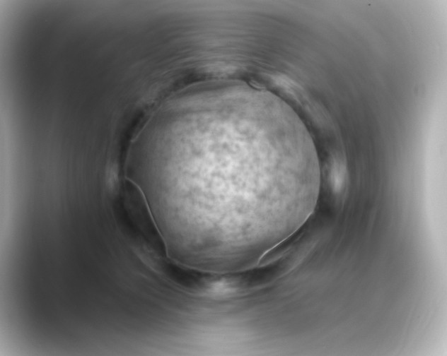 X0000088830564200706211817