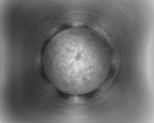 X0000088830565200706211817