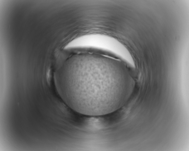 X0000088830566200706211817