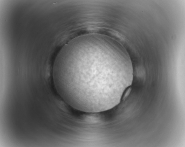 X0000088830567200706211817