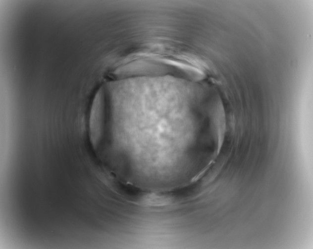 X0000088830568200706211817