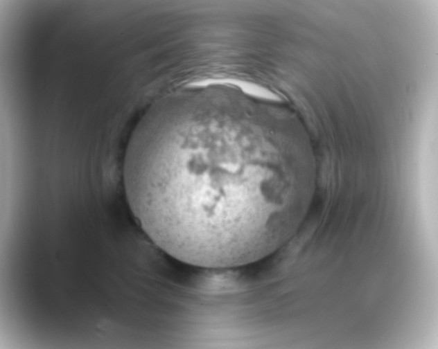 X0000088830569200706211817