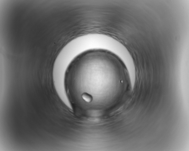 X0000088830570200706211817