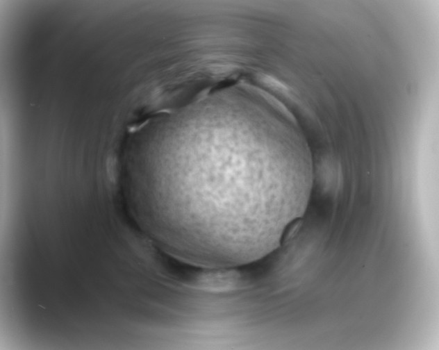 X0000088830571200706211817