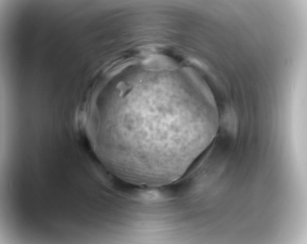 X0000088830572200706211817