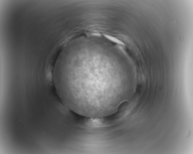 X0000088830573200706211817