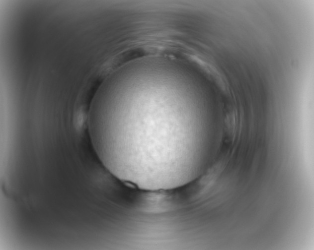 X0000088830574200706211817