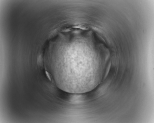 X0000088830575200706211817