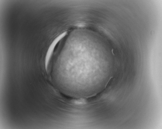 X0000088830576200706211817