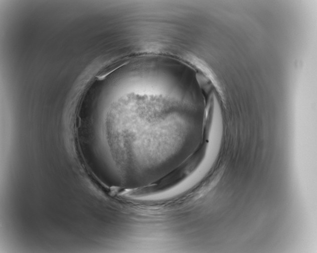 X0000088830577200706211816