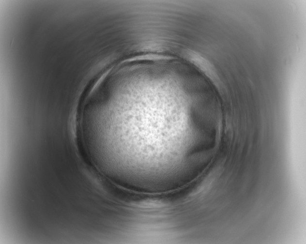 X0000088830578200706211816