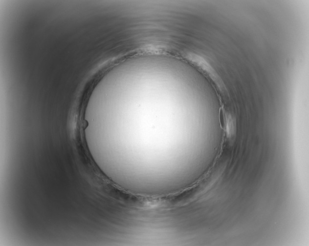 X0000088830579200706211816